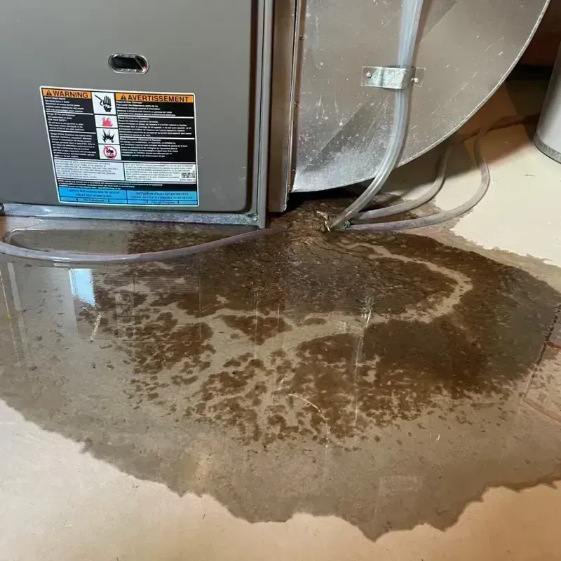 Appliance Leak Cleanup in Lakewood, TN